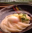 画像7: うどん県のうどん券Gold　水玉うどんver.（送料無料／ゆうメールで送付※日付指定不可） (7)